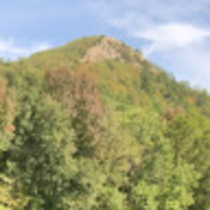 Meet your Posher, Amarie